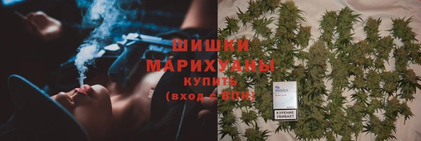 шишки Баксан