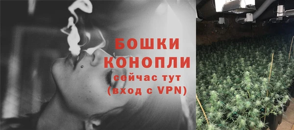 гидра Белокуриха