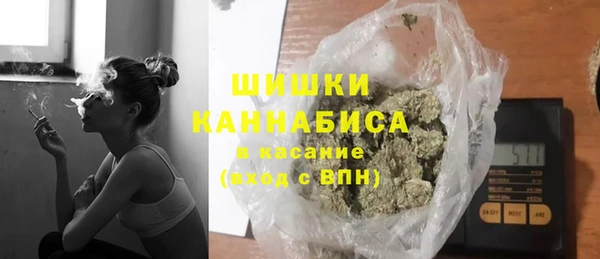 гидра Белокуриха