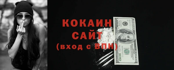 ПСИЛОЦИБИНОВЫЕ ГРИБЫ Белоозёрский