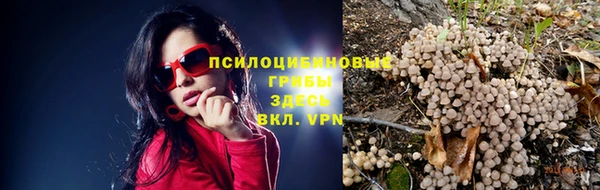 каннабис Беломорск