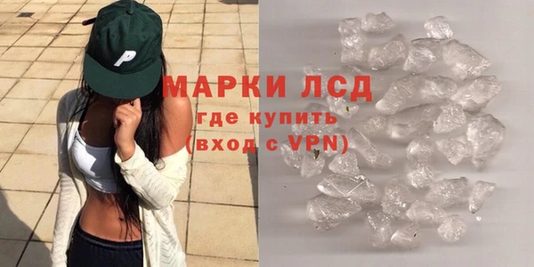 гидра Белокуриха