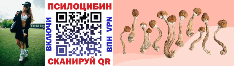 Псилоцибиновые грибы ЛСД  Железногорск-Илимский 