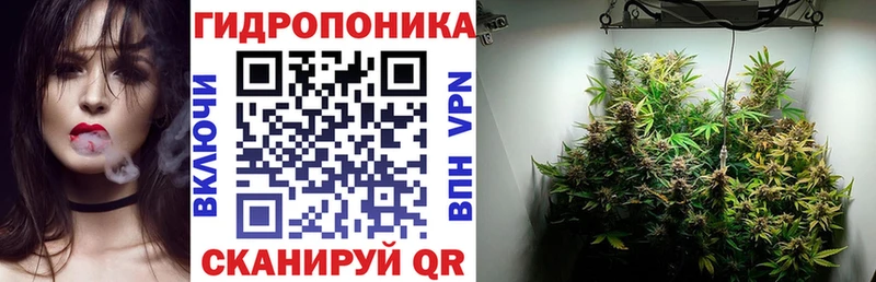 Канабис план  Железногорск-Илимский 